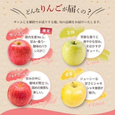 【2027年2月後半発送】【訳あり】 りんご 約10kg サンふじ確約 青森産 品種おまかせ2種以上