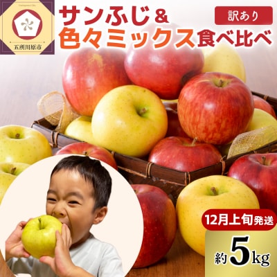 【2026年12月上旬発送】【訳あり】りんご5kg青森産家庭用完熟サンふじ&色々ミックス