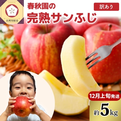 【2026年12月上旬発送】【訳あり】りんご5kg青森産春秋園の家庭用完熟サンふじ