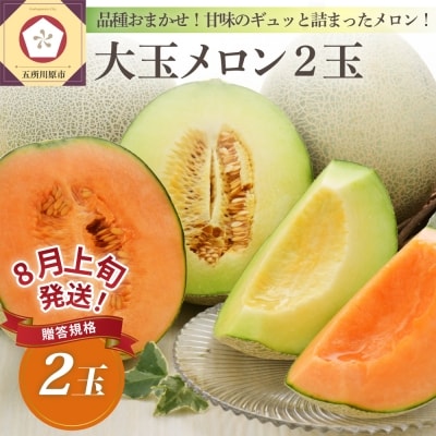 【2026年8月上旬発送】メロン2玉入り 大玉 贈答規格 青森メロン 津軽産