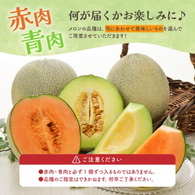 【2026年8月下旬発送】メロン2玉入り 大玉 贈答規格 青森メロン 津軽産