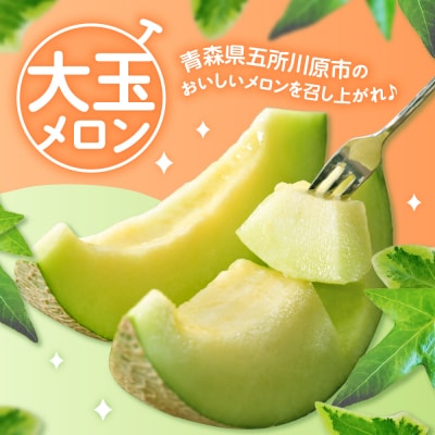 【2025年8月下旬発送】メロン2玉入り 大玉 贈答規格 青森メロン 津軽産