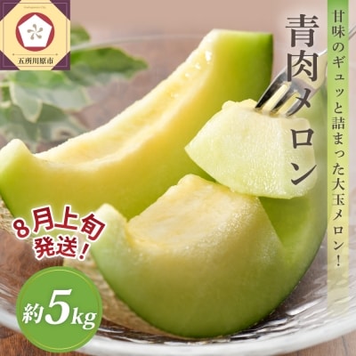 【2026年8月上旬発送】青肉 メロン 約5kg (3～6玉) 家庭用 津軽産