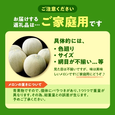 【2026年8月上旬発送】青肉 メロン 約5kg (3～6玉) 家庭用 津軽産