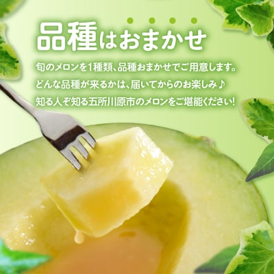【2026年8月中旬発送】青肉 メロン 約5kg (3～6玉) 家庭用 津軽産