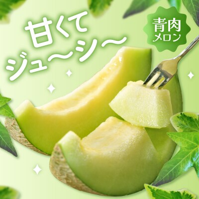 【2026年8月下旬発送】青肉 メロン 約5kg (3～6玉) 家庭用 津軽産