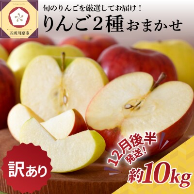 【2025年12月後半発送】 【訳あり】 りんご 約10kg 青森産 品種おまかせ2種以上