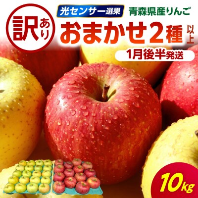 【2027年1月後半発送】 【訳あり】 りんご 約10kg 青森産 品種おまかせ2種以上