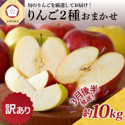 【2026年3月後半発送】 【訳あり】 りんご 約10kg 青森産 品種おまかせ2種以上