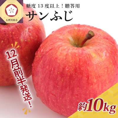 【2025年12月前半発送】りんご 約10kg サンふじ 青森産 糖度13度以上 贈答用 特選～特秀