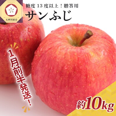 【2026年1月前半発送】りんご 約10kg サンふじ 青森産 糖度 13度以上 贈答用 特選～特秀
