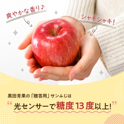 【2027年1月前半発送】りんご 約10kg サンふじ 青森産 糖度 13度以上 贈答用 特選～特秀