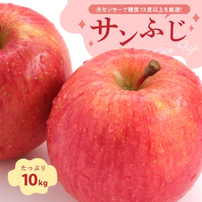 【2027年1月後半発送】りんご 約10kg サンふじ 青森産 糖度 13度以上 贈答用 特選～特秀