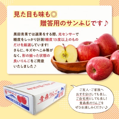 【2027年1月後半発送】りんご 約10kg サンふじ 青森産 糖度 13度以上 贈答用 特選～特秀