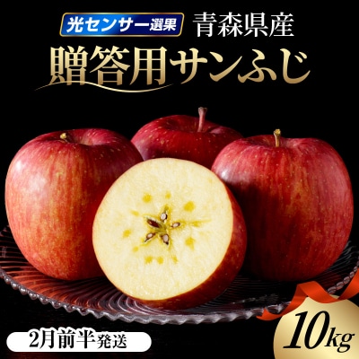 【2027年2月前半発送】りんご 約10kg サンふじ 青森産 糖度 13度以上　贈答用 特選～特秀