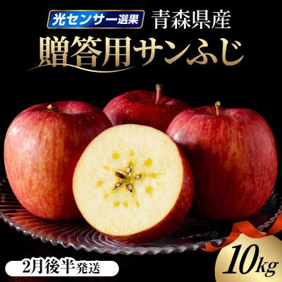 【2027年2月後半発送】りんご 約10kg サンふじ 青森産 糖度 13度以上　贈答用 特選～特秀