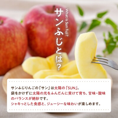 【2027年2月後半発送】りんご 約10kg サンふじ 青森産 糖度 13度以上　贈答用 特選～特秀