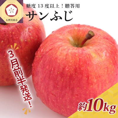 【2026年3月前半発送】りんご 約10kg サンふじ 青森産 糖度 13度以上　贈答用 特選～特秀