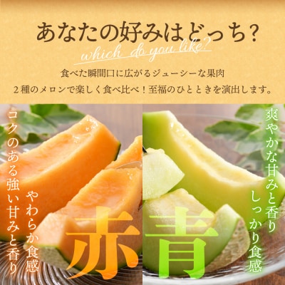 【2026年8月前半発送】津軽のメロン 約8kg (赤肉・青肉セット) 4～6玉・秀～優 青森県産