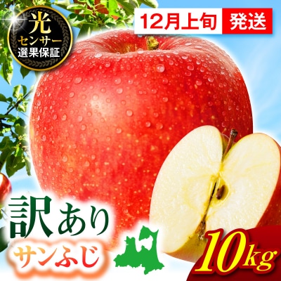 【2026年12月上旬発送】【訳あり】 りんご 約10kg サンふじ 青森 家庭用 不揃い