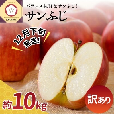【2023年12月下旬発送】【訳あり】りんご10kgサンふじ青森不揃い