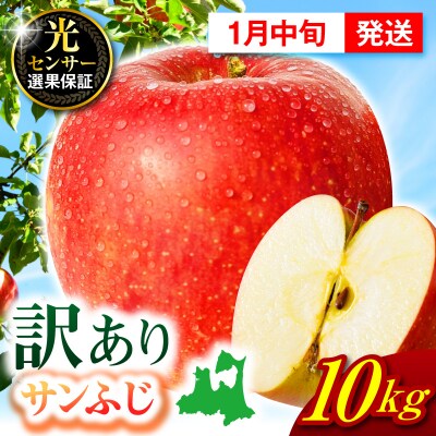 【2027年1月中旬発送】【訳あり】 りんご 約10kg サンふじ 青森 家庭用 不揃い
