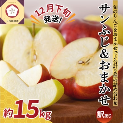 【2025年12月下旬発送】【訳あり】 りんご 15kg 詰め合わせ 計2種(サンふじ と 他1種)