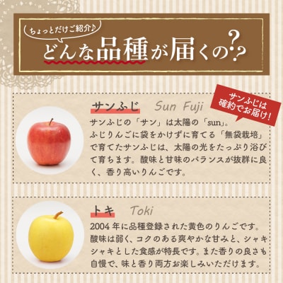 【2027年1月下旬発送】 【訳あり】 りんご 15kg 詰め合わせ 計2種(サンふじ と 他1種)