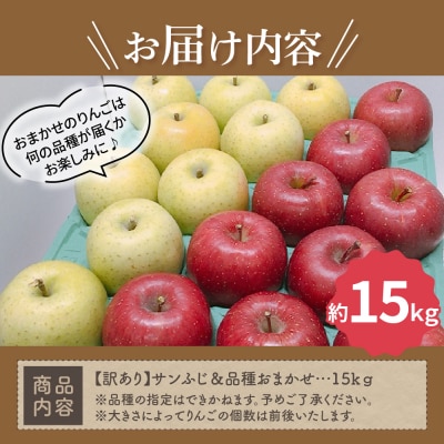 【2027年1月下旬発送】 【訳あり】 りんご 15kg 詰め合わせ 計2種(サンふじ と 他1種)