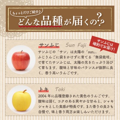 【2027年3月中旬発送】 【訳あり】 りんご 15kg 詰め合わせ 計2種(サンふじ と 他1種)