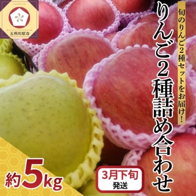 【2026年3月下旬発送】 りんご 5kg サンふじ 王林 他 紅白 詰め合わせ 青森
