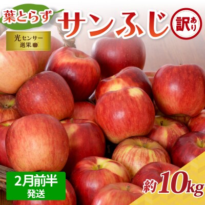【2026年2月前半発送】【訳あり】 りんご 約10kg サンふじ 葉とらず 青森産