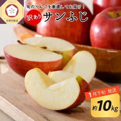 【2026年1月下旬発送】【訳あり】りんご約10kgサンふじ青森産