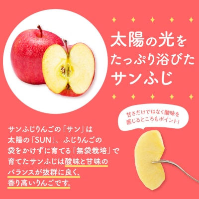 【2026年1月下旬発送】【訳あり】りんご約10kgサンふじ青森産