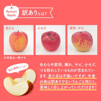 【2026年1月下旬発送】【訳あり】りんご約10kgサンふじ青森産