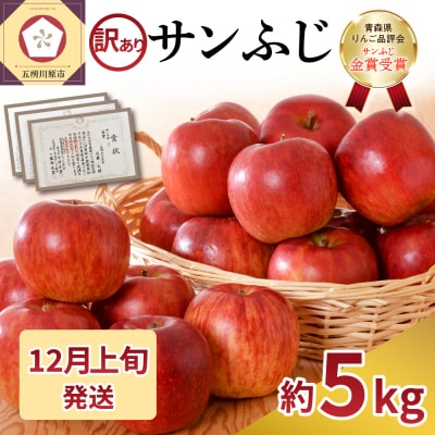 【2025年12月上旬発送】【訳あり】 りんご 約5kg サンふじ 家庭用 青森県産