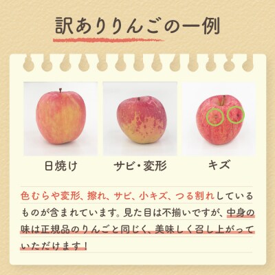 【2025年12月上旬発送】【訳あり】 りんご 約5kg サンふじ 家庭用 青森県産