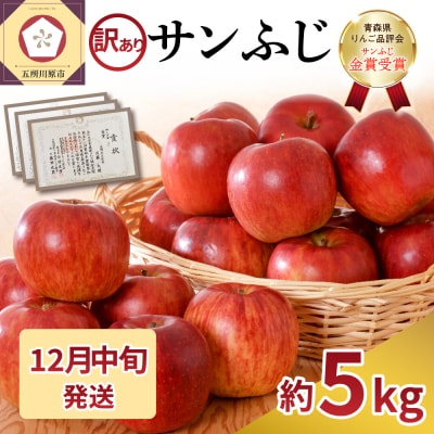 【2025年12月中旬発送】【訳あり】 りんご 約5kg サンふじ 家庭用 青森県産