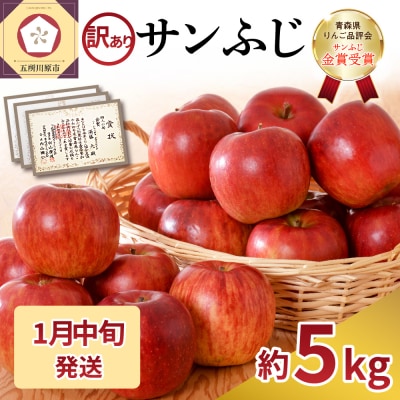 【2026年1月中旬発送】【訳あり】 りんご 約5kg サンふじ 家庭用 青森県産