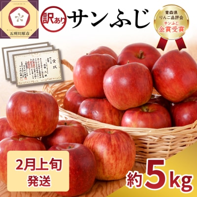 【2026年2月上旬発送】【訳あり】 りんご 約5kg サンふじ 家庭用 青森県産