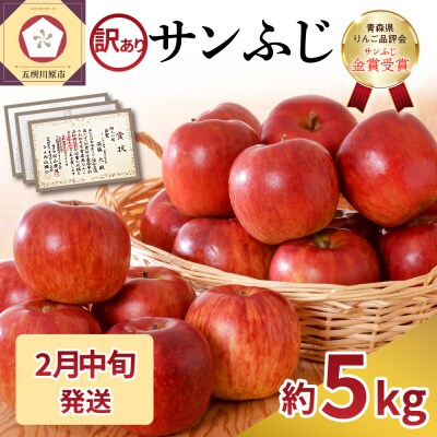 【2026年2月中旬発送】【訳あり】 りんご 約5kg サンふじ 家庭用 青森県産