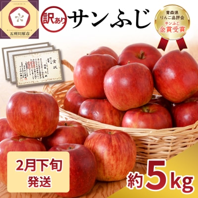 【2026年2月下旬発送】【訳あり】 りんご 約5kg サンふじ 家庭用 青森県産