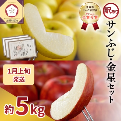 【2026年1月上旬発送】【訳あり】りんご 約5kg サンふじ & 金星セット 青森産