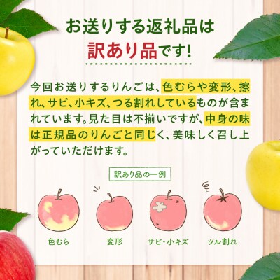 【2027年1月下旬発送】【訳あり】りんご 約5kg サンふじ & 金星セット 青森産