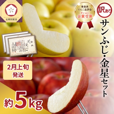 【2026年2月上旬発送】【訳あり】りんご 約5kg サンふじ & 金星セット 青森産