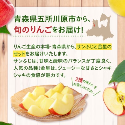 【2026年2月上旬発送】【訳あり】りんご 約5kg サンふじ & 金星セット 青森産