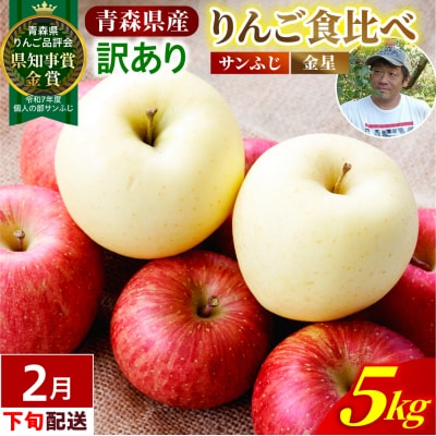 【2027年2月下旬発送】【訳あり】りんご 約5kg サンふじ & 金星セット 青森産