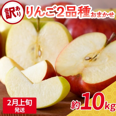 【2026年2月上旬発送】 【訳あり】 旬の美味しい りんご 約10kg 青森産 【おまかせ2品種】