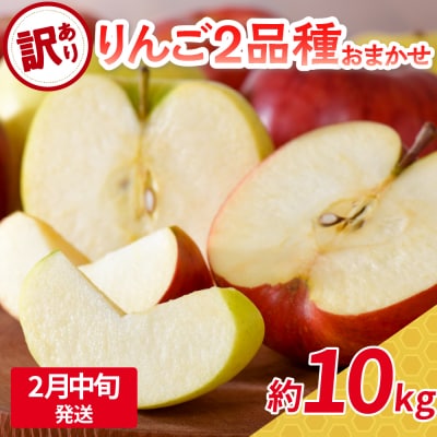 【2026年2月中旬発送】 【訳あり】 旬の美味しい りんご 約10kg 青森産 【おまかせ2品種】