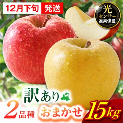 【2026年12月下旬発送】 【訳あり】旬の美味しいりんご 約15kg 青森産 【おまかせ2品種】
